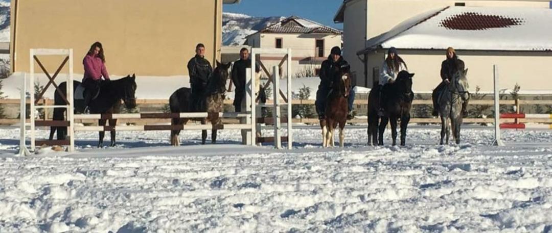 House Of Horses Shtepia E Kuajve Korce Exterior foto